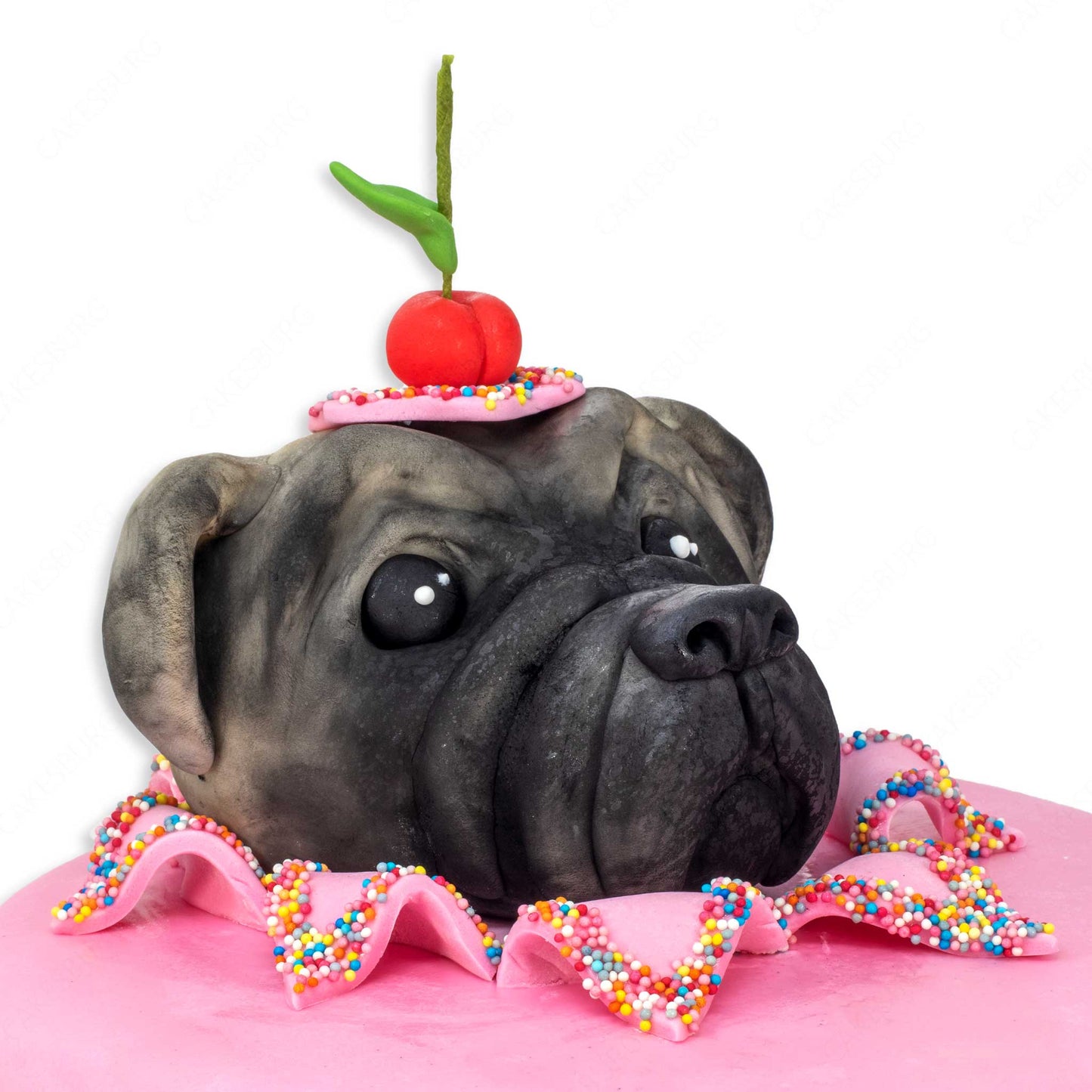 Edible Fondant Pug Head and Paws Cake Topper