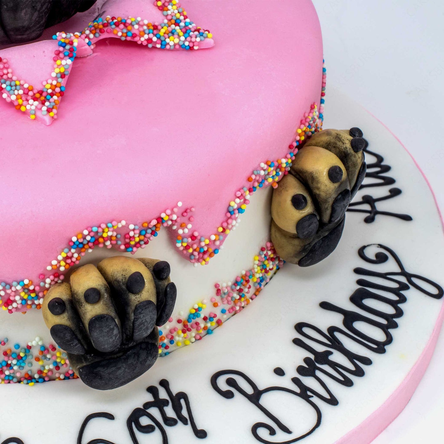 Edible Fondant Pug Head and Paws Cake Topper