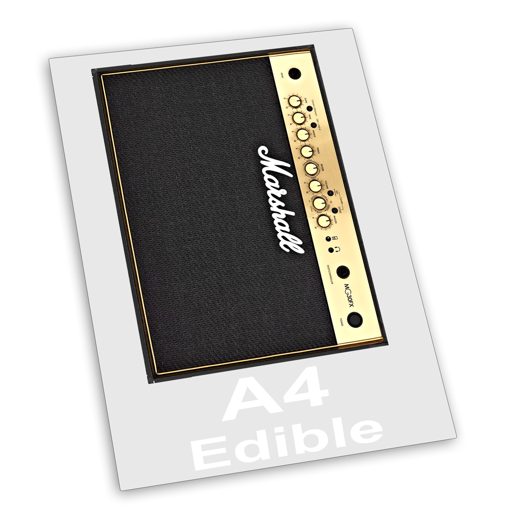 Edible Fondant Bass Guitar Cake Topper and Personalised Amp face